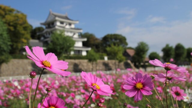 愛知県