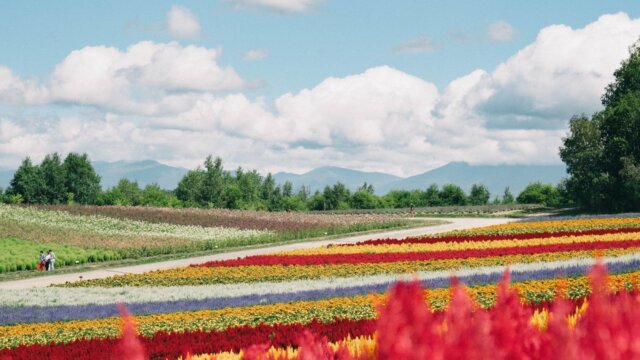 北海道